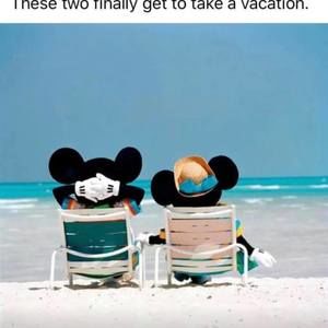 Meet your Posher, Janet